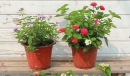 汕头记者爆料新闻视频最新,揭秘事件背后惊人真相