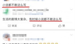 爆料娱乐圈小说,揭秘明星背后的秘密与爱恨情仇